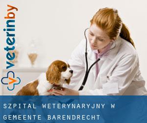 Szpital weterynaryjny w Gemeente Barendrecht
