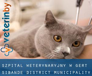 Szpital weterynaryjny w Gert Sibande District Municipality przez główne miasto - strona 3