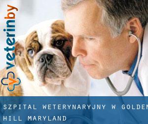 Szpital weterynaryjny w Golden Hill (Maryland)