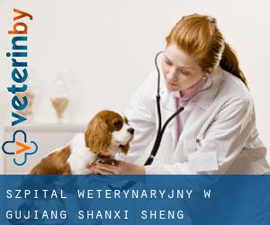 Szpital weterynaryjny w Gujiang (Shanxi Sheng)
