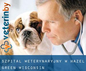 Szpital weterynaryjny w Hazel Green (Wisconsin)
