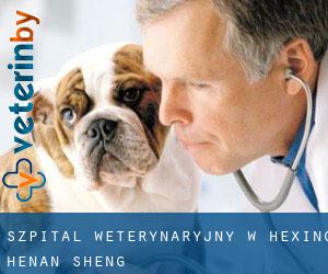 Szpital weterynaryjny w Hexing (Henan Sheng)