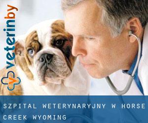 Szpital weterynaryjny w Horse Creek (Wyoming)