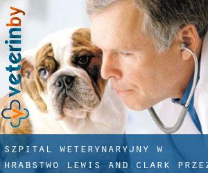 Szpital weterynaryjny w Hrabstwo Lewis and Clark przez obszar metropolitalny - strona 1