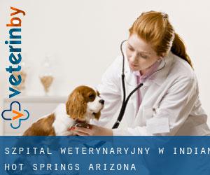 Szpital weterynaryjny w Indian Hot Springs (Arizona)