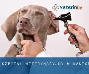 Szpital weterynaryjny w Kanton Szpital weterynaryjny w Kanton