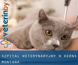 Szpital weterynaryjny w Kerns (Montana)