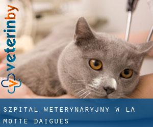Szpital weterynaryjny w La Motte-d'Aigues