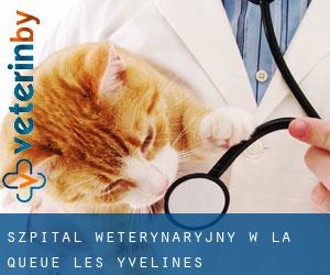 Szpital weterynaryjny w La Queue-les-Yvelines
