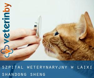 Szpital weterynaryjny w Laixi (Shandong Sheng)