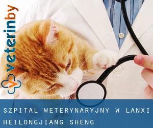 Szpital weterynaryjny w Lanxi (Heilongjiang Sheng)