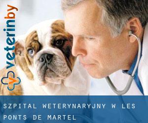 Szpital weterynaryjny w Les Ponts-de-Martel