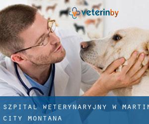 Szpital weterynaryjny w Martin City (Montana)