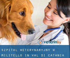 Szpital weterynaryjny w Militello in Val di Catania
