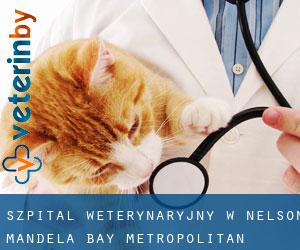 Szpital weterynaryjny w Nelson Mandela Bay Metropolitan Municipality
