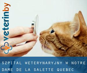 Szpital weterynaryjny w Notre-Dame-de-la-Salette (Quebec)