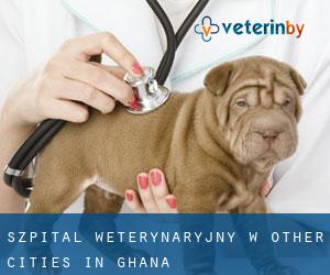 Szpital weterynaryjny w Other Cities in Ghana