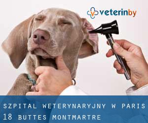 Szpital weterynaryjny w Paris 18 Buttes-Montmartre