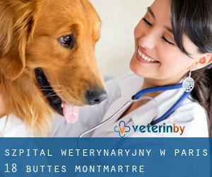 Szpital weterynaryjny w Paris 18 Buttes-Montmartre