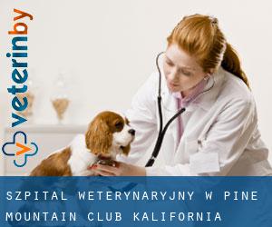 Szpital weterynaryjny w Pine Mountain Club (Kalifornia)