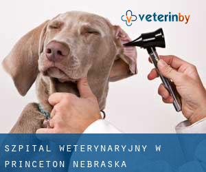 Szpital weterynaryjny w Princeton (Nebraska)