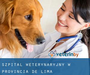 Szpital weterynaryjny w Provincia de Lima