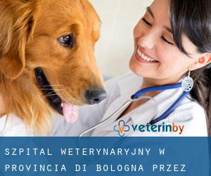 Szpital weterynaryjny w Provincia di Bologna przez główne miasto - strona 1