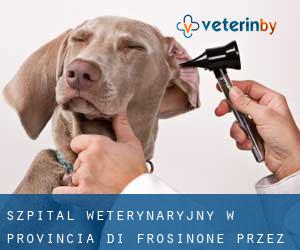 Szpital weterynaryjny w Provincia di Frosinone przez miasto - strona 1