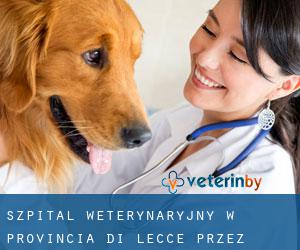 Szpital weterynaryjny w Provincia di Lecce przez obszar metropolitalny - strona 1