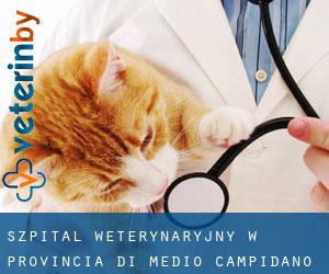 Szpital weterynaryjny w Provincia di Medio Campidano