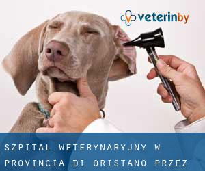 Szpital weterynaryjny w Provincia di Oristano przez główne miasto - strona 1