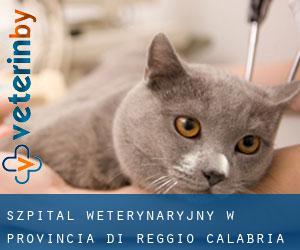 Szpital weterynaryjny w Provincia di Reggio Calabria przez główne miasto - strona 2