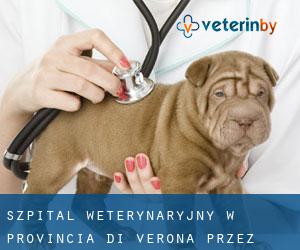 Szpital weterynaryjny w Provincia di Verona przez główne miasto - strona 1