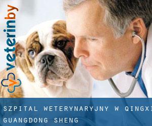 Szpital weterynaryjny w Qingxi (Guangdong Sheng)