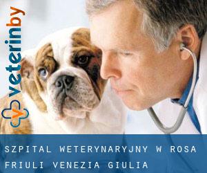 Szpital weterynaryjny w Rosa (Friuli Venezia Giulia)