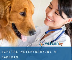 Szpital weterynaryjny w Samedan