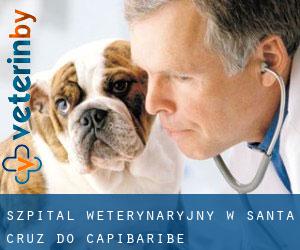 Szpital weterynaryjny w Santa Cruz do Capibaribe