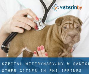 Szpital weterynaryjny w Santol (Other Cities in Philippines)