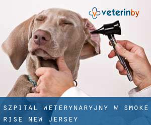 Szpital weterynaryjny w Smoke Rise (New Jersey)