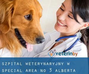 Szpital weterynaryjny w Special Area No. 3 (Alberta)