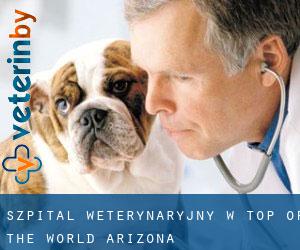 Szpital weterynaryjny w Top-of-the-World (Arizona)