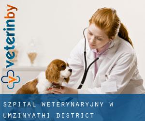 Szpital weterynaryjny w uMzinyathi District Municipality przez obszar metropolitalny - strona 1