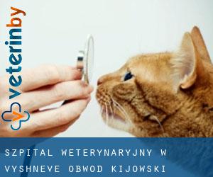Szpital weterynaryjny w Vyshneve (Obwód kijowski)