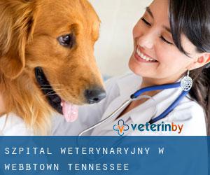 Szpital weterynaryjny w Webbtown (Tennessee)