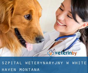 Szpital weterynaryjny w White Haven (Montana)