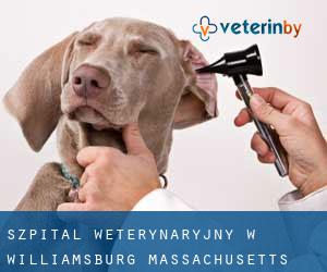 Szpital weterynaryjny w Williamsburg (Massachusetts)