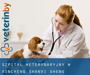 Szpital weterynaryjny w Xincheng (Shanxi Sheng)