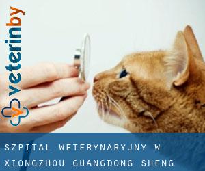 Szpital weterynaryjny w Xiongzhou (Guangdong Sheng)