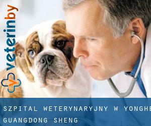 Szpital weterynaryjny w Yonghe (Guangdong Sheng)