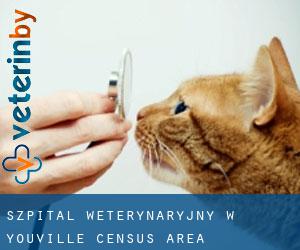Szpital weterynaryjny w Youville (census area)